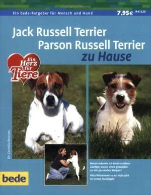 Jack Russel Terrier. Parson Russel Terrier zu Hause de Cornelia Renczes