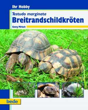 Ihr Hobby. Testudo marginata Breitrandschildkröten de Georg Mirlach