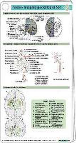 Neuro Imaging pocketcard Set de Sebastian von Stuckrad-Barre