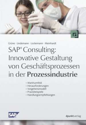 Innovative Gestaltung von Geschäftsprozessen in der Prozessindustrie de Guido Grüne