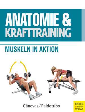 Anatomie und Krafttraining (Anatomie & Sport, Band 1) de Ricardo Cánovas