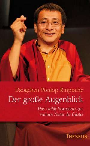 Der große Augenblick de Dzogchen Ponlop Rinpoche