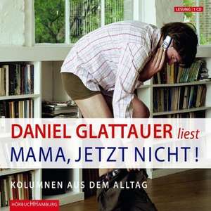 Mama, jetzt nicht! de Daniel Glattauer