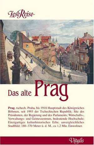 LeseReise Das alte Prag de Harald Salfellner