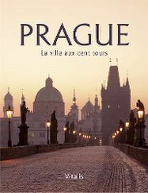 Prague de Harald Salfellner