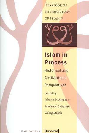 Islam in Process de Johann P. Arnason