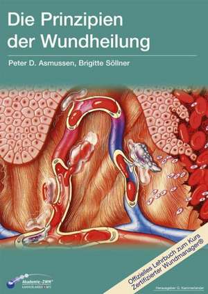 Die Prinzipien der Wundheilung de Peter D. Asmussen