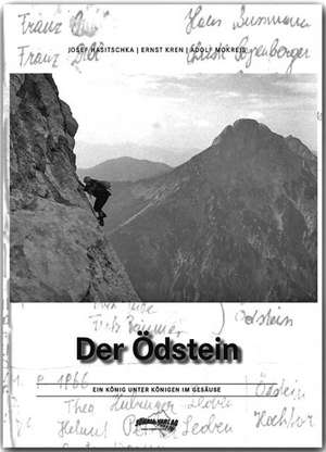 Der Ödstein de Josef Hasitschka