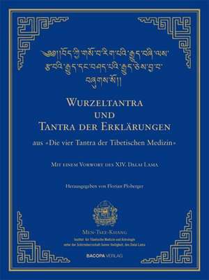 Wurzel-Tantra und Tantra der Erklärungen des rGyud-bZhi de Florian Ploberger