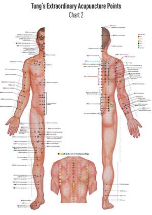 Akupunkturtafel Chart 2 Tung's Extraordinary Acupuncture Points on the regular channels de David Koppensteiner