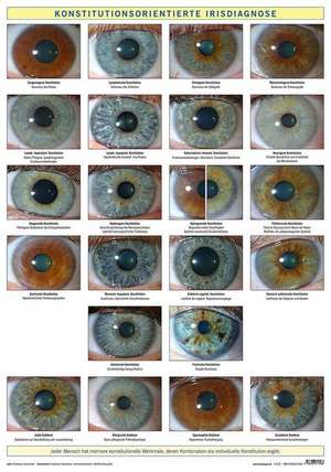 Konstitutionsorientierte Irisdiagnose de Friedemann Garvelmann