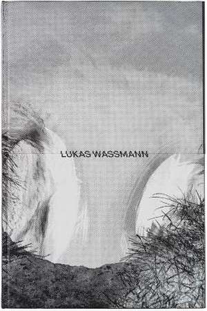 ZÄH de Lukas Wassmann
