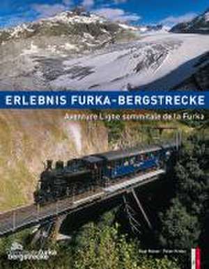 Erlebnis Furka-Bergstrecke de Peter Krebs