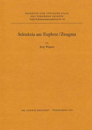 Seleukeia Am Euphrat / Zeugma de Jorg Wagner