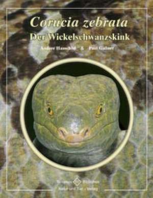 Der Wickelschwanzskink de Paul Gaßner