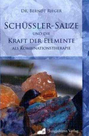 Schüssler-Salze und die Kraft der Elemente als Kombinationstherapie de Berndt Rieger