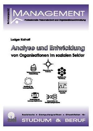 Analyse und Entwicklung von Organisationen im sozialen Sektor de Ludger Kolhoff