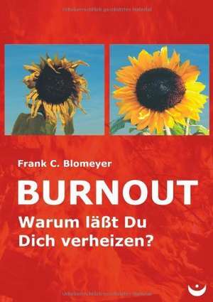 Burnout de Frank C. Blomeyer