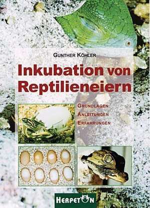 Inkubation von Reptilieneiern de Gunther Köhler