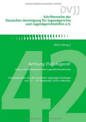 Achtung (für) Jugend! de Dvjj