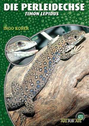 Kober, I: Perleidechse