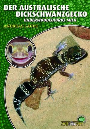 Der Australische Dickschwanzgecko de Andreas Laube