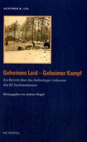 Geheimes Leid - Geheimer Kampf de Gunther R. Lys