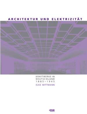 Architektur und Elektrizität de Elke Mittmann