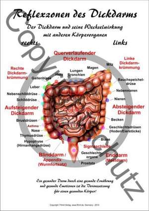 Reflexzonen des Dickdarms de Aeckersberg Tanja