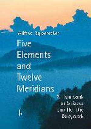 Five Elements and Twelve Meridians de Wilfried Rappenecker