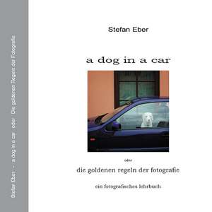 a dog in a car de Stefan Eber