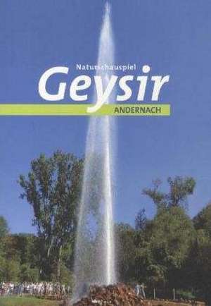 Naturschauspiel Geysir Andernach