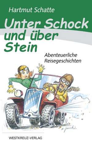 Unter Schock und über Stein de Hartmut Schatte