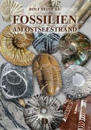 Fossilien am Ostseestrand de Rolf Reinicke