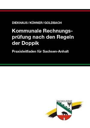 Kommunale Rechnungsprüfung nach den Regeln der Doppik de Berta Diekhaus