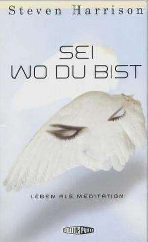 Sei, wo du bist de Steven Harrison