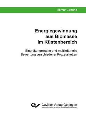 Energiegewinnung aus Biomasse im Küstenbereich. Eine ökonomische und multikriterielle Bewertung verschiedener Prozessketten de Hilmar Gerdes