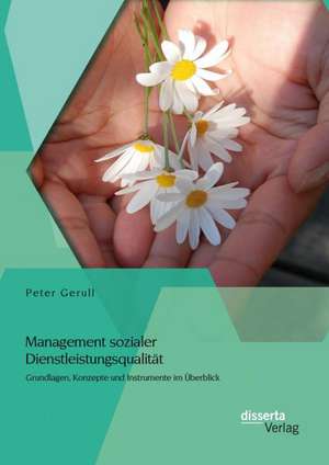 Management Sozialer Dienstleistungsqualitat: Grundlagen, Konzepte Und Instrumente Im Uberblick de Peter Gerull