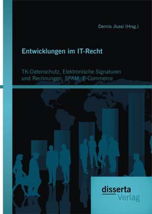 Entwicklungen Im It-Recht: TK-Datenschutz de Dennis Jlussi (Hrsg. )