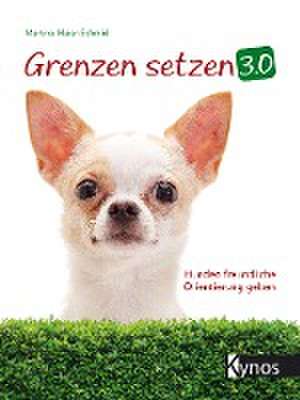 Grenzen setzen 3.0 de Martina Maier-Schmid