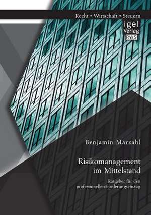 Risikomanagement Im Mittelstand: Ratgeber Fur Den Professionellen Forderungseinzug de Benjamin Marzahl