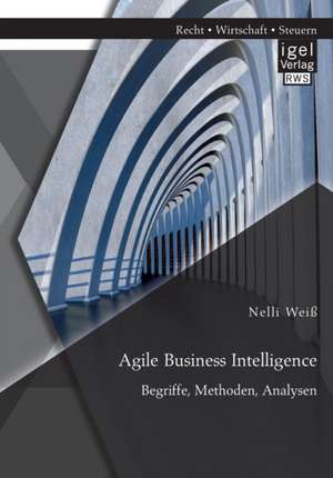 Agile Business Intelligence. Begriffe, Methoden, Analysen de Nelli Weiß