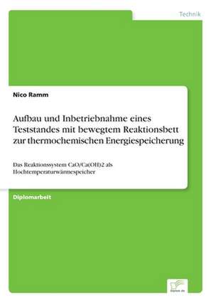 Aufbau und Inbetriebnahme eines Teststandes mit bewegtem Reaktionsbett zur thermochemischen Energiespeicherung de Nico Ramm