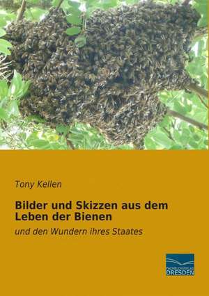 Bilder und Skizzen aus dem Leben der Bienen de Tony Kellen