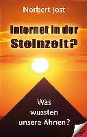 Internet in der Steinzeit? de Norbert Jost