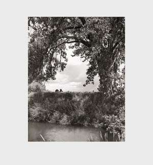 Robert Adams: Cottonwoods de Robert Adams