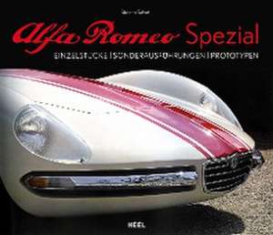 Alfa Romeo Spezial de Stefano Salvetti