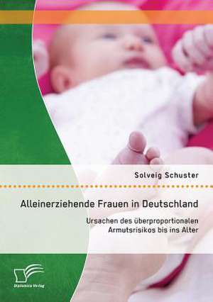 Alleinerziehende Frauen in Deutschland: Ursachen Des Uberproportionalen Armutsrisikos Bis Ins Alter de Solveig Schuster