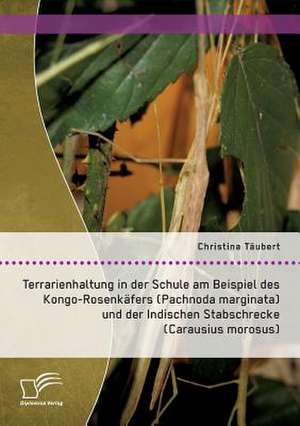 Terrarienhaltung in Der Schule Am Beispiel Des Kongo-Rosenkafers (Pachnoda Marginata) Und Der Indischen Stabschrecke (Carausius Morosus): Bosniens Jugend Zwischen Hoffnung Und Den Schatten Der Vergangenheit de Christina Täubert