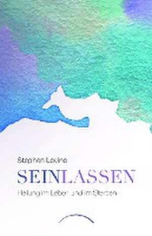 Sein lassen de Stephen Levine